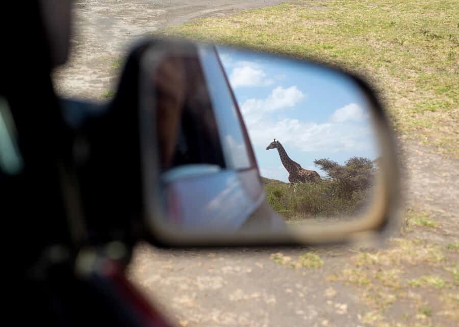 Private 4x4 Vitara Safari in Arusha National Park - Who this safari fits best (and who should skip it)