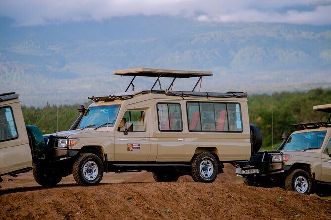Private 5-Days Serengeti Trails with Kojuu Safaris - Kojuu Safaris: how private touring changes your Serengeti experience