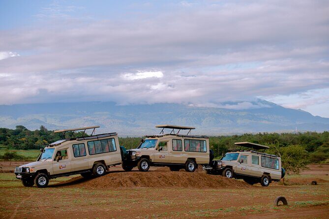 Private 5-Days Serengeti Trails with Kojuu Safaris - What’s included in your safari days (and what that means for you)