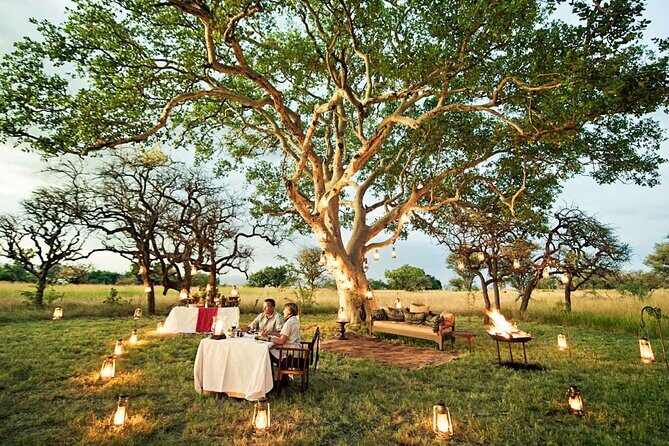 Private 7 Days Classic Safari Tour in Tanzania - Northern Tanzania in 7 days: why this route works