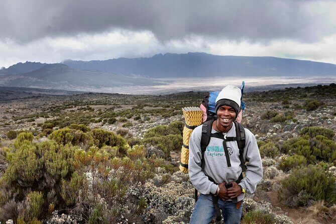 Private 8 day Northern Circuit Kilimanjaro Climb - Day 1: Mti Mkubwa Camp and the calm start