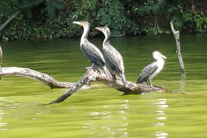 Private Canoe or Hike Tour on Lake Duluti - What Reuben adds: Meru culture, legends, and real context