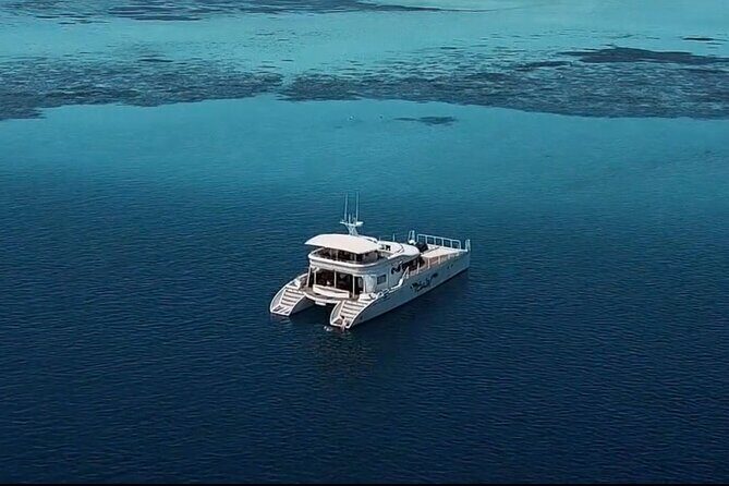 Private Catamaran - Stone Town Islands & Sandbanks (5 hrs) - Onboard luxury that actually helps: bathrooms, showers, food, and drinks