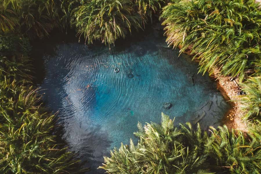 Private Chemka/Kikuletwa hotsprings with lunch & drinks - Key things that make this hot springs day work