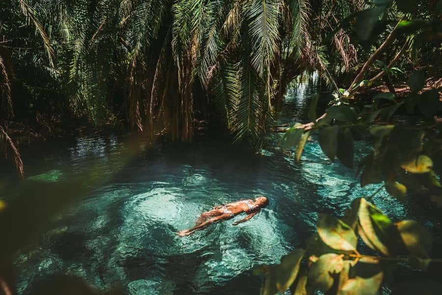 Private Chemka/Kikuletwa hotsprings with lunch & drinks - Kikuletwa Hot Springs: why this oasis beats a quick stop