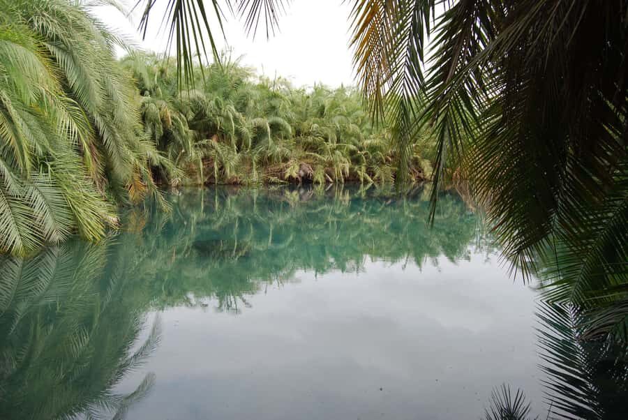 Private Chemka/Kikuletwa hotsprings with lunch & drinks - The lunch and local beer break: when recovery becomes part of the fun