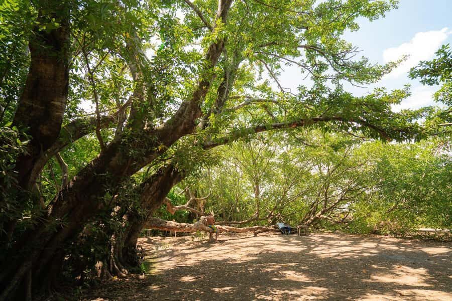 Private Chemka/Kikuletwa hotsprings with lunch & drinks - What to bring: small items that make the day easier