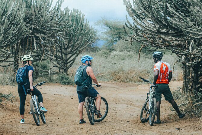 Private Cycle to Kilimanjaro Bike Park Safari - Key highlights worth getting excited about