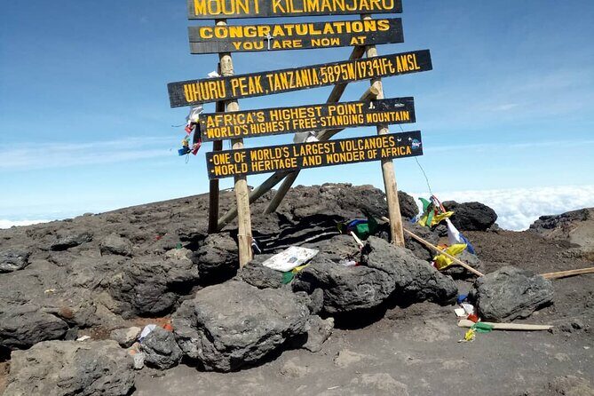 Private Day Tour and Hike in Kilimanjaro National Park - Key highlights you’ll feel right away