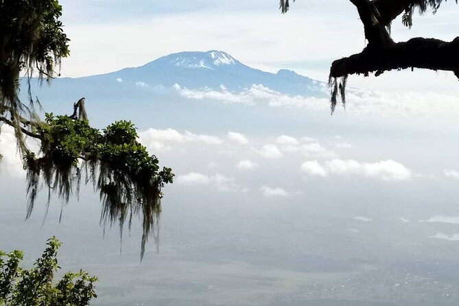 Private Day Tour and Hike in Kilimanjaro National Park - A One-Day Taste of Kilimanjaro From Arusha