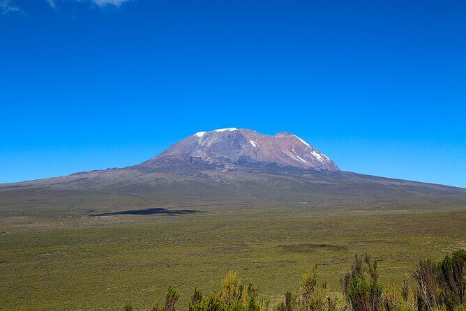 Private Day Tour and Hike in Kilimanjaro National Park - From Marangu Gate Into the Rainforest Zone