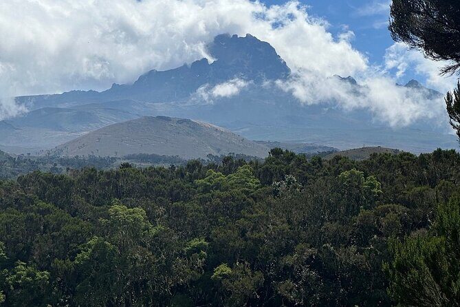 Private Day Tour Kilimanjaro Hike - The Slow Descent Back to Marangu Gate