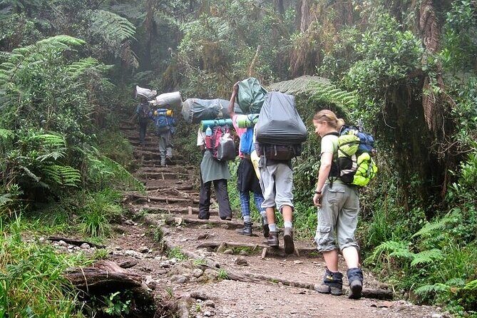 Private Day Tour Kilimanjaro Hike - How Challenging Is This Day Hike, Really?