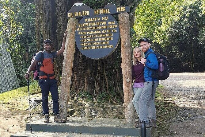 Private Day Tour Kilimanjaro Hike - Trek to Mandara Huts: Rainforest, Wildlife, and Real Walking