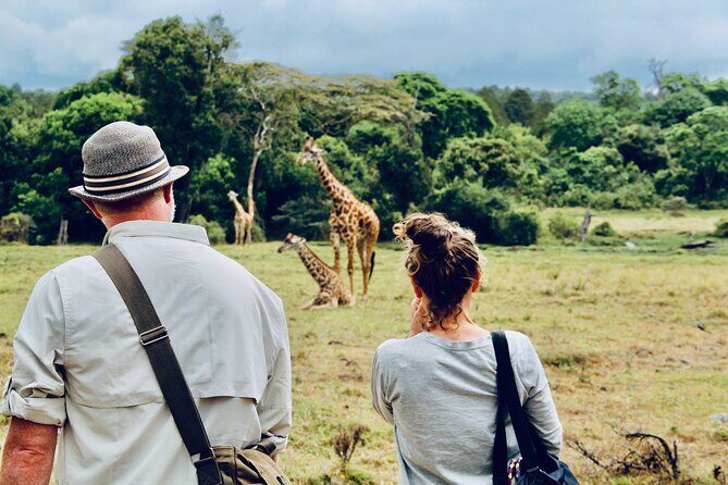 Private Day Trip to Arusha National Park with a Walking Safari - Key Highlights You’ll Actually Feel