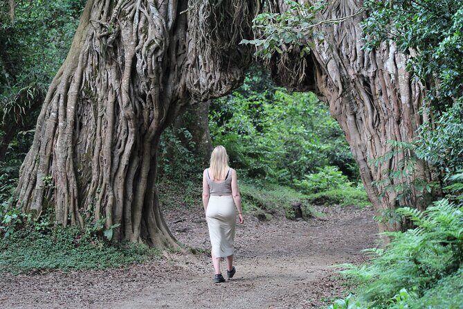 Private Day Trip to Arusha National Park with a Walking Safari - The Waterfall Finish from Mount Meru: How the Day Lands