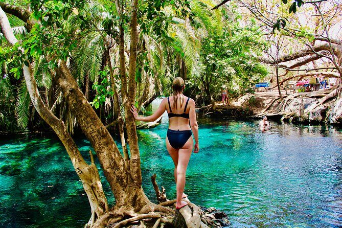 Private Day Trip to Kikuletwa Hot Springs in Kilimanjaro - Rope Swing, Caves, and That Local-Guide Magic