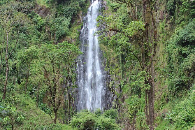 Private Day Trip to Materuni Waterfall and Coffee Tour - Key Points to Know Before You Go