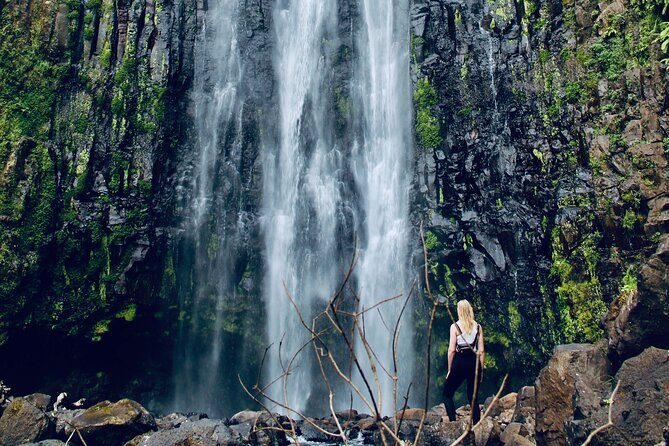 Private Day Trip to Materuni Waterfall and Coffee Tour - Lunch, Bottled Water, and Included Comfort