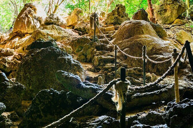 Private Full-Day: Dolphin & Monkey Jungle Adventure - Mnemba Island: the dolphin cruise and the possible swim