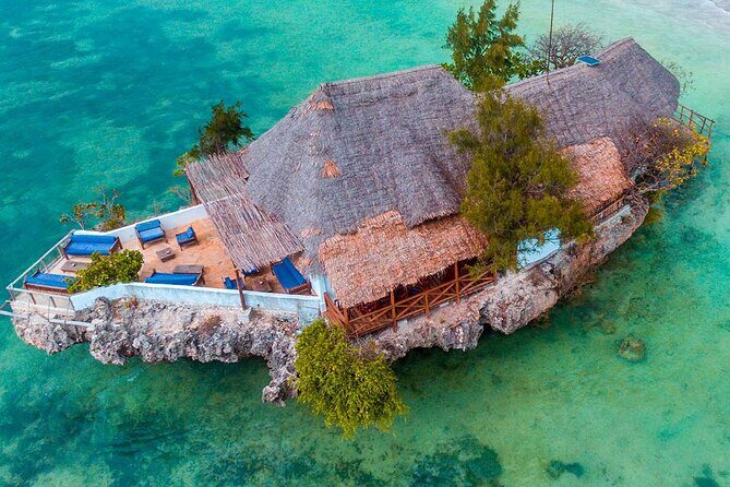 Private Full-Day: Dolphin & Monkey Jungle Adventure - Jozani Chwaka Bay National Park: red colobus, mangroves, and forest walks