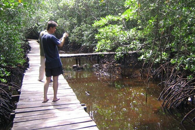 Private Full-Day: Dolphin & Monkey Jungle Adventure - Transportation and pacing: private is the real luxury here