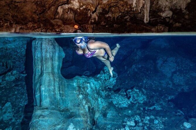 Private Full-Day: Dolphin & Monkey Jungle Adventure - Price and value for a private 7-hour adventure