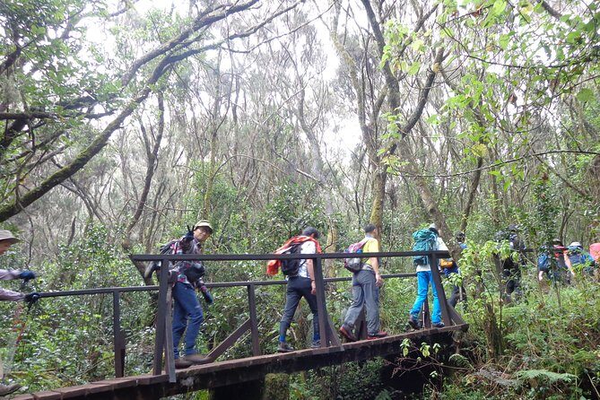 Private Full-Day Hiking Tour in Mount Kilimanjaro - Key highlights at a glance