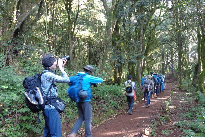 Private Full-Day Hiking Tour in Mount Kilimanjaro - Why hike the Marangu Route’s first leg from Moshi?
