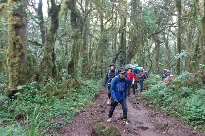 Private Full-Day Hiking Tour in Mount Kilimanjaro - What to pack for a misty, monkey-friendly day