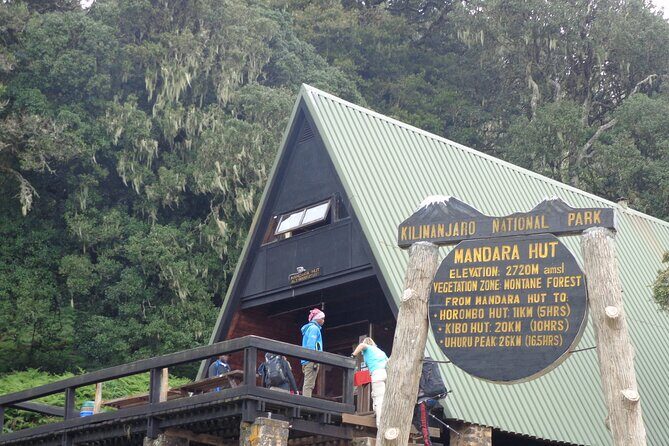 Private Full-Day Hiking Tour in Mount Kilimanjaro - Getting to Marangu Gate: early start, countryside payoff