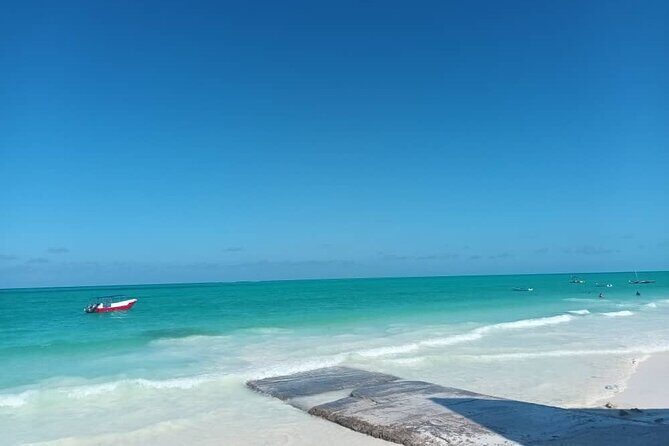 Private Full Day Jozani, Paje Beach and Rock Restaurant Tour - From Stone Town to three Zanzibar worlds in one route