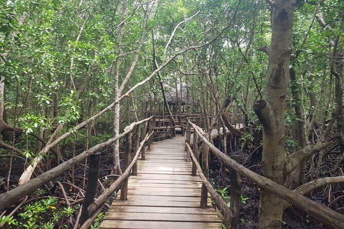 Private Full Day Jozani, Paje Beach and Rock Restaurant Tour - Paje Beach for about three hours of real downtime
