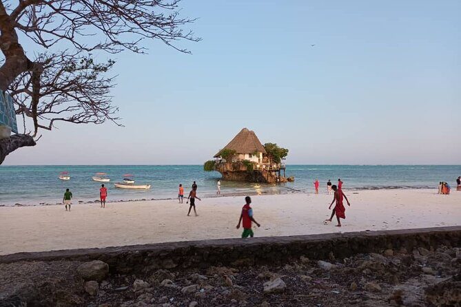 Private Full Day Jozani, Paje Beach and Rock Restaurant Tour - Entering Jozani Forest for Zanzibar’s red colobus