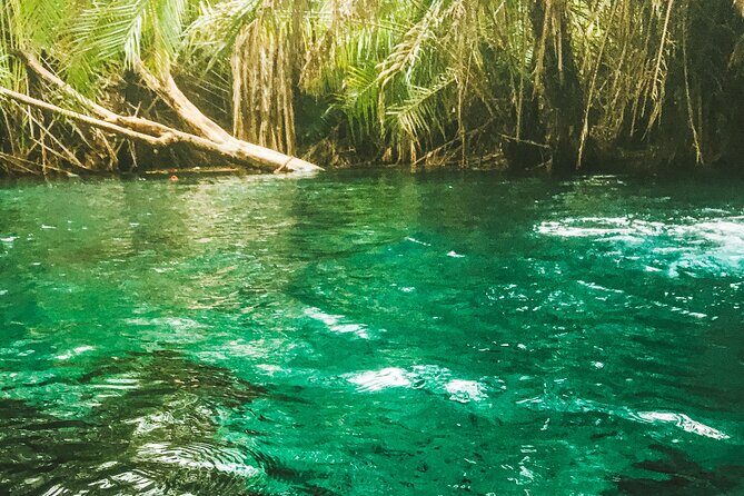 Private Full-Day Materuni Waterfalls and Kikuletwa Hotspring - Key highlights at a glance