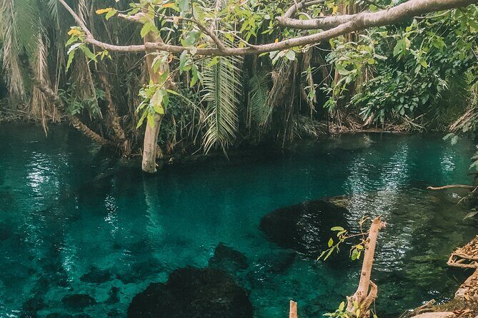 Private Full-Day Materuni Waterfalls and Kikuletwa Hotspring - Kikuletwa Hotspring (Chemka): warm water, local hangouts, and fish foot massage