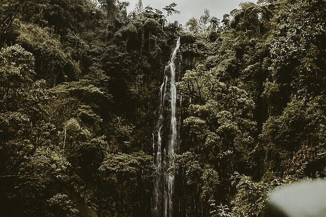 Private Full-Day Materuni Waterfalls and Kikuletwa Hotspring - Coffee village tour: how processing becomes a story you can taste