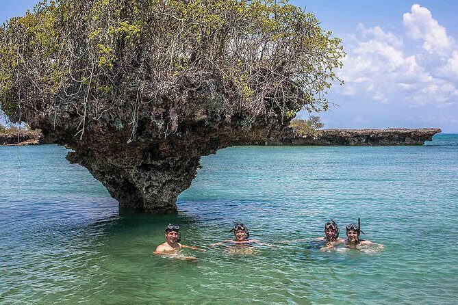 Private Full-day Safari Blue Trip with Lunch buffet - Key takeaways before you book