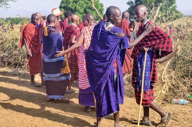Private Full-Day Tour Maasai Village and Kikuletwa Hot Spring - The Road Connection: See the Bush, Not Just the Stops