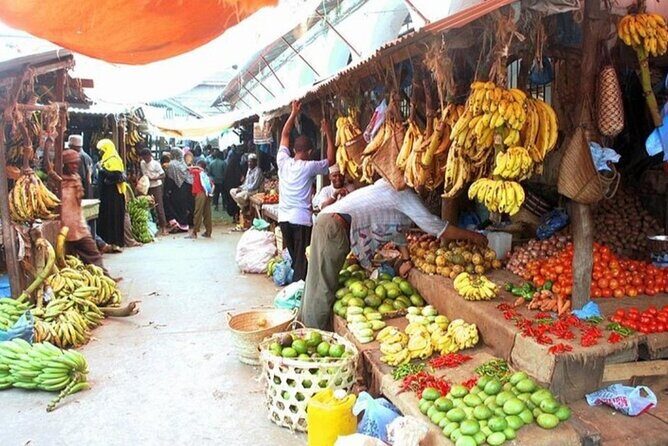 Private Full Day Trip to Stone Town, Spice Farms and Jozani Forest - Timing, transport, and what you actually get for a one-day schedule