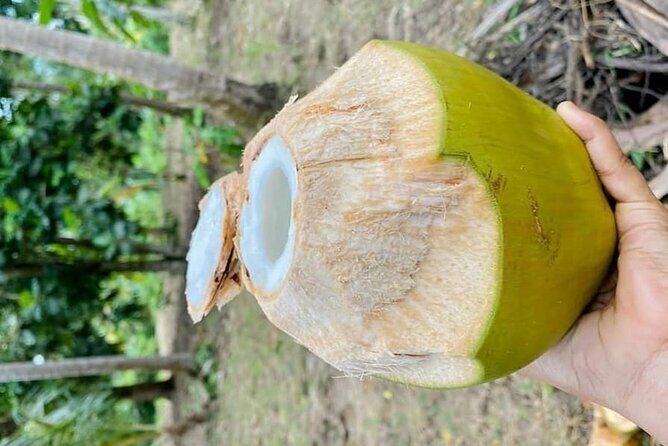 Private Full Day Trip to Stone Town, Spice Farms and Jozani Forest - Price and value: is $150 fair for this mix?