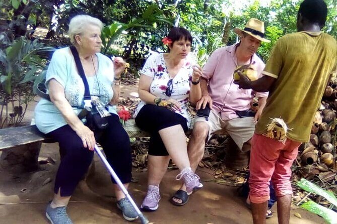 Private Full Day Trip to Stone Town, Spice Farms and Jozani Forest - Small downsides to plan for before you go