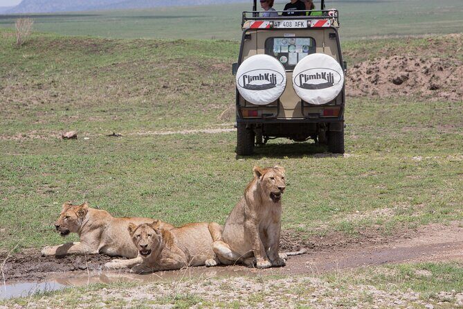 Private Group Serengeti Safari, Crater & Tarangire National Park - Tarangire National Park: a full day of momentum