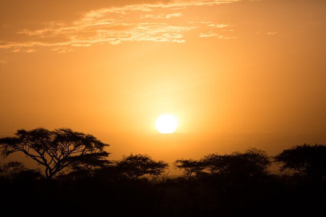 Private Group Serengeti Safari, Crater & Tarangire National Park - Driving time and packing your day: the practical reality