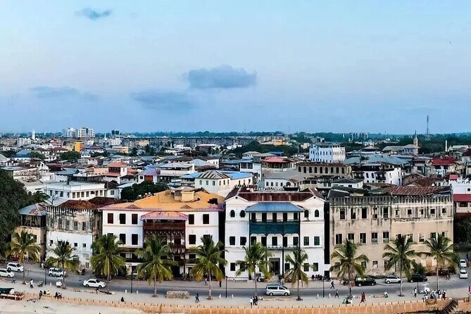 Private Half Day Stone Town Walking Tour - Key highlights to look for on this Stone Town walk