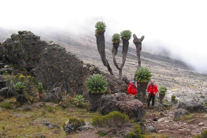 Private Kilimanjaro Climb - Any Route - 8 to 15+ Days - Stop 1: Mount Kilimanjaro and the Climb Rhythm You’ll Feel