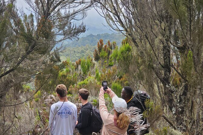 Private Kilimanjaro Day Hike to Marangu Route's Mandara Hut - The Marangu Route climb: dense forest hiking without the overnight commitment