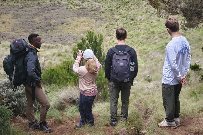 Private Kilimanjaro Day Hike to Marangu Route's Mandara Hut - Your return drive: relaxing music, beer, and the sunset option