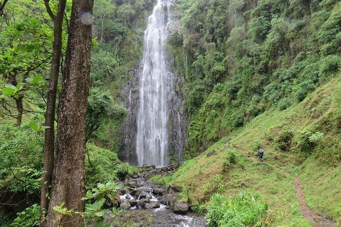 Private Materuni and Chemka Hotspring Tour - First Step from Arusha: Pickup That Actually Saves Time