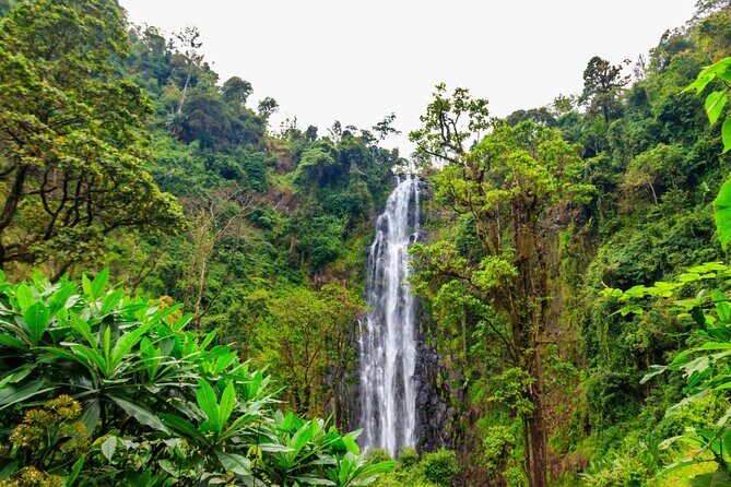 Private Materuni and Chemka Hotspring Tour - Materuni Waterfalls: The Trek That Sets the Mood
